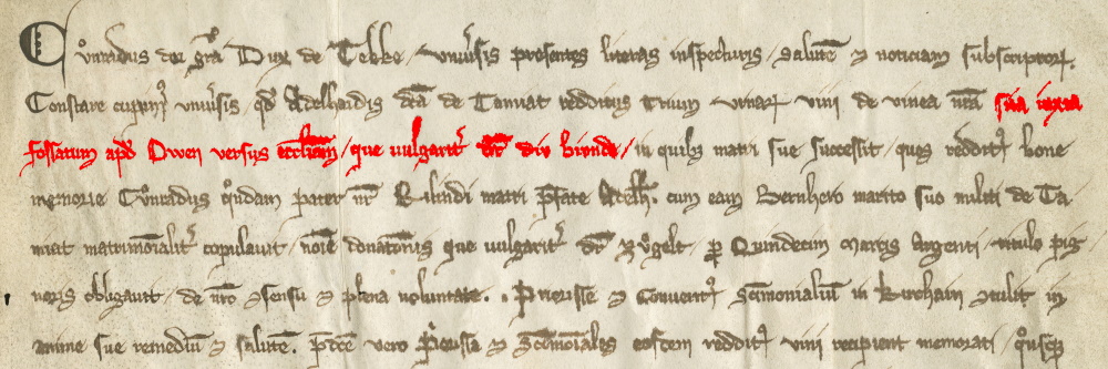 Alt-Owen Förderkreis e.V.